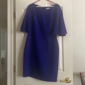 New Eliza J Blue Dress
